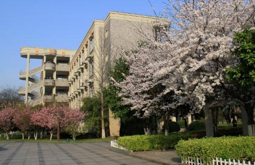 杭州师范大学附属中学介绍