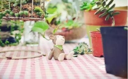 三毛经典句子十大盘点 