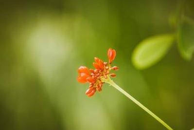 贤内助的女人四大标准（贤内助的女人特点）