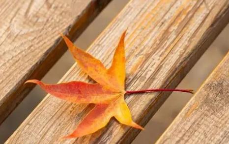 秋天最走心的精辟句子(发朋友圈的说说)