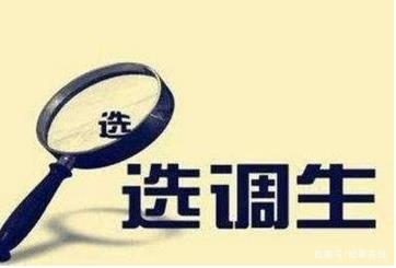 选调生是什么意思啊