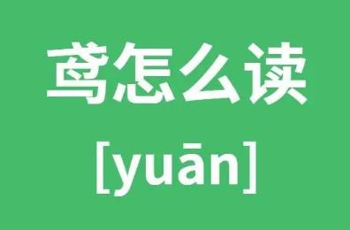 鸢怎么读_鸢的读音和含义