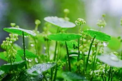 知足常乐是什么意思_怎么样才能做到知足常乐