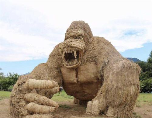 稻草人全文免费阅读文章，课外阅读故事