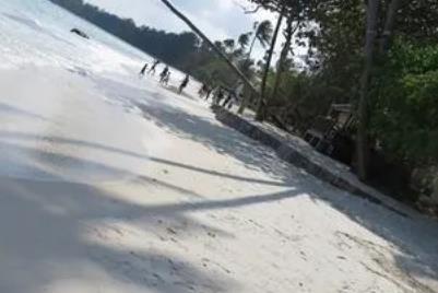 英语单词常见拼写错误