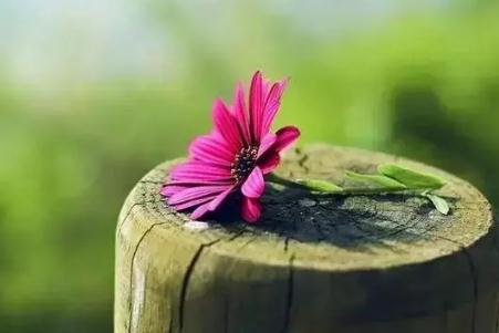 经验丰富的近义词