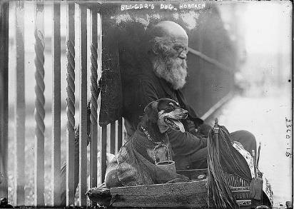 panhandler_词语“panhandler”是什么意思