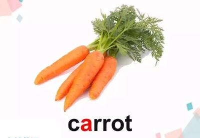 carrot怎么读_carrot的中文翻译