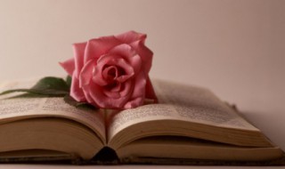 古对今古诗 古对今的出处