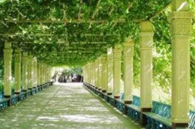 葡萄沟在新疆的什么地方