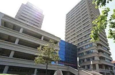 上海师范类大学排名