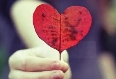 心意的英文怎么写