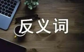 爱护的反义词有哪些