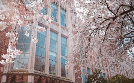 colour与colors的区别?