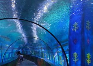 推荐一个好地方的作文：海洋世界700字